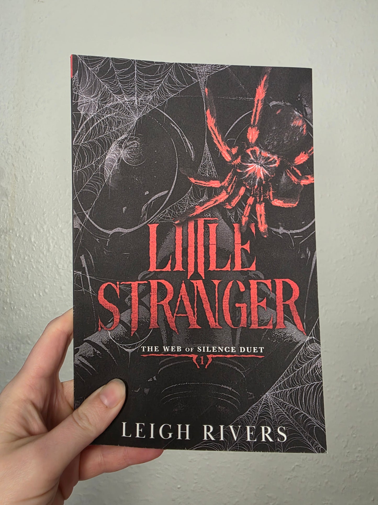 Little Stranger by Leigh Rivers